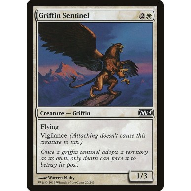 Grifone Sentinella