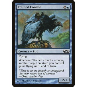 Condor Addestrato