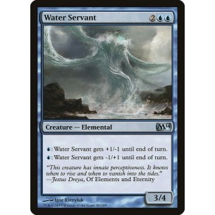 Servitore d'Acqua