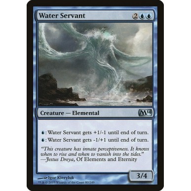 Servitore d'Acqua