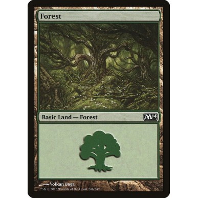 Foresta