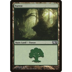 Foresta
