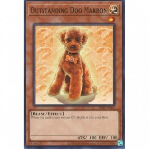 Outstanding Dog Marron (V.1...