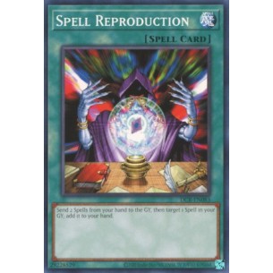 Spell Reproduction (V.1 -...