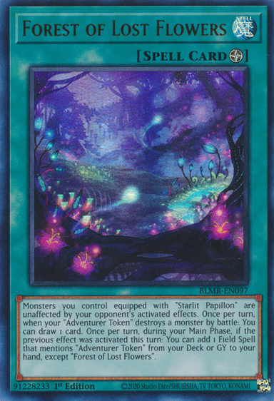 Magia Terreno