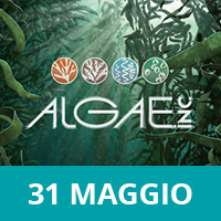 Algae, Inc.