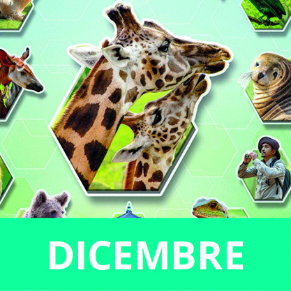 Ark Nova - Il Santuario degli Animali