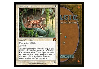 Il tuo primo manga: guida pratica su come leggerlo e preservarlo